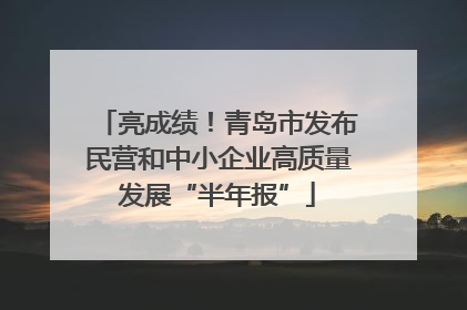 亮成绩！青岛市发布民营和中小企业高质量发展“半年报”