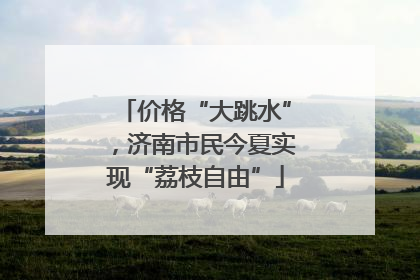 价格“大跳水”，济南市民今夏实现“荔枝自由”