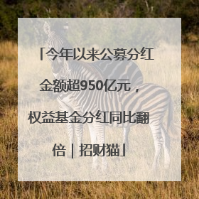 今年以来公募分红金额超950亿元，权益基金分红同比翻倍｜招财猫