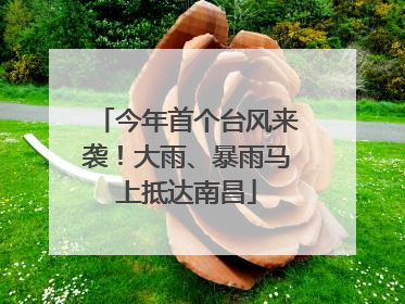 今年首个台风来袭！大雨、暴雨马上抵达南昌