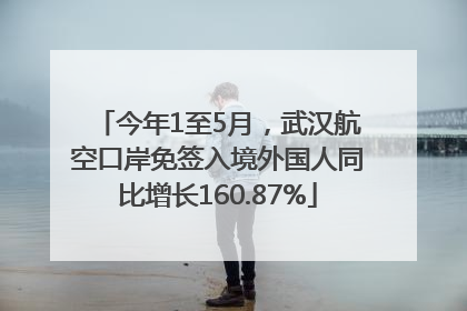 今年1至5月，武汉航空口岸免签入境外国人同比增长160.87%