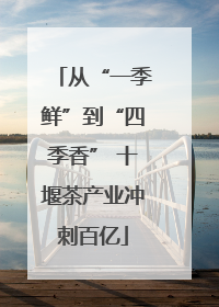 从“一季鲜”到“四季香” 十堰茶产业冲刺百亿
