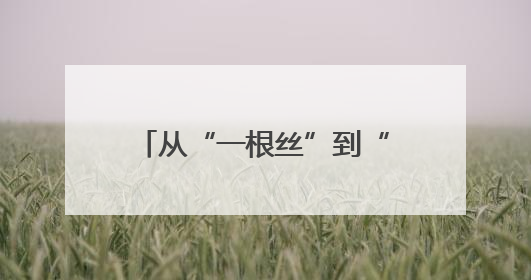 从“一根丝”到“一件衣” 四川前锋区11个项目签约夯实轻纺全产业链