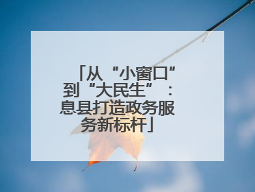 从“小窗口”到“大民生”：息县打造政务服务新标杆