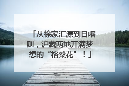 从徐家汇源到日喀则，沪藏两地开满梦想的“格桑花”！