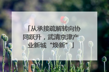 从承接疏解转向协同跃升，武清京津产业新城“焕新”