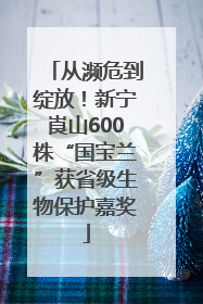 从濒危到绽放！新宁崀山600株“国宝兰”获省级生物保护嘉奖