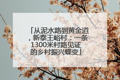从泥水路到黄金道，新泰王峪村：一条1300米村路见证的乡村振兴蝶变