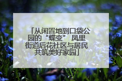 从闲置地到口袋公园的“蝶变” 凤里街道后花社区与居民共筑美好家园