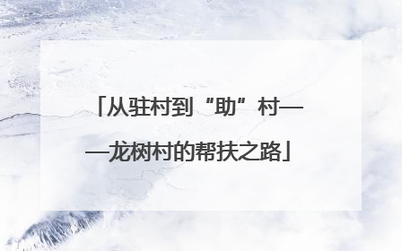 从驻村到“助”村——龙树村的帮扶之路