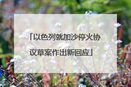 以色列就加沙停火协议草案作出新回应