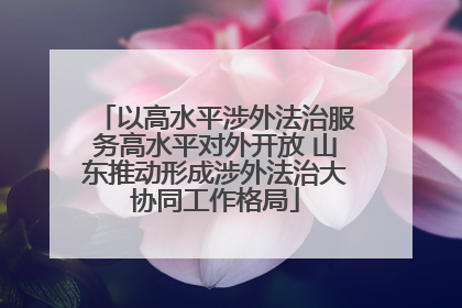以高水平涉外法治服务高水平对外开放 山东推动形成涉外法治大协同工作格局