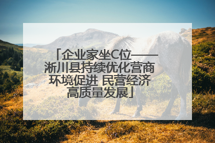 企业家坐C位——淅川县持续优化营商环境促进 民营经济高质量发展