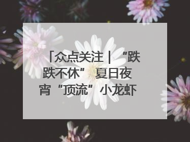 众点关注｜“跌跌不休” 夏日夜宵“顶流”小龙虾价格腰斩 东营人的快乐来了