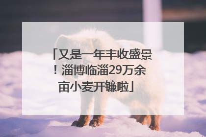 又是一年丰收盛景！淄博临淄29万余亩小麦开镰啦