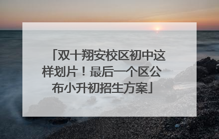 双十翔安校区初中这样划片！最后一个区公布小升初招生方案