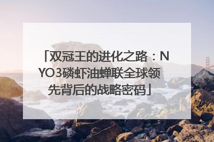 双冠王的进化之路：NYO3磷虾油蝉联全球领先背后的战略密码