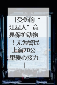 受伤的“汪星人”竟是保护动物！无为警民上演70公里爱心接力