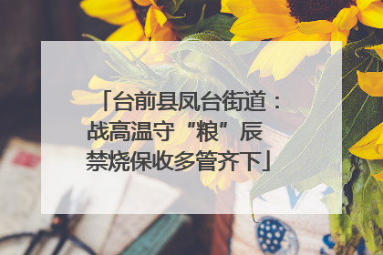 台前县凤台街道：战高温守“粮”辰 禁烧保收多管齐下