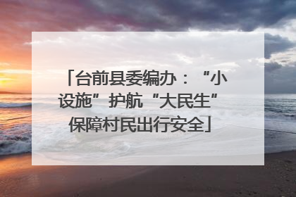 台前县委编办：“小设施”护航“大民生” 保障村民出行安全
