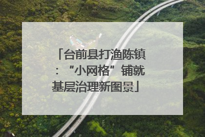 台前县打渔陈镇：“小网格”铺就基层治理新图景