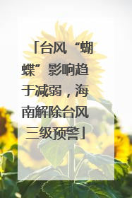 台风“蝴蝶”影响趋于减弱，海南解除台风三级预警