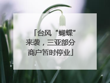 台风“蝴蝶”来袭，三亚部分商户暂时停业
