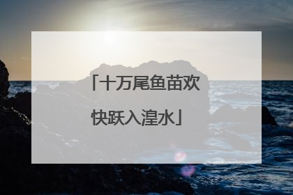 十万尾鱼苗欢快跃入湟水