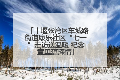 十堰张湾区车城路街道康乐社区“七一”走访送温暖 纪念章里蕴深情