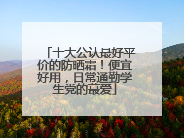 十大公认最好平价的防晒霜！便宜好用，日常通勤学生党的蕞爱
