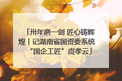 卅年磨一剑 匠心铸辉煌丨记湖南省国资委系统“国企工匠”虞孝云