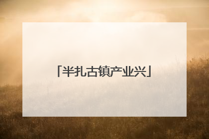 半扎古镇产业兴