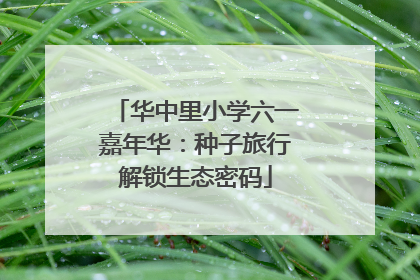 华中里小学六一嘉年华：种子旅行解锁生态密码