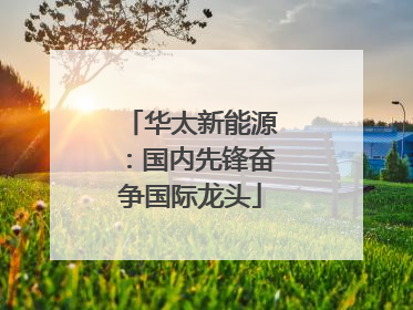 华太新能源：国内先锋奋争国际龙头