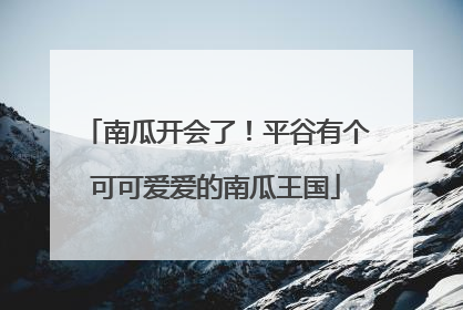 南瓜开会了！平谷有个可可爱爱的南瓜王国