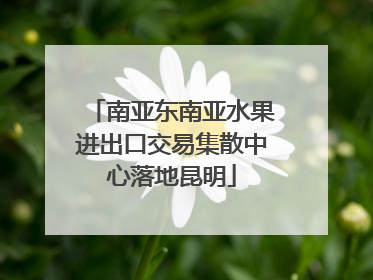 南亚东南亚水果进出口交易集散中心落地昆明