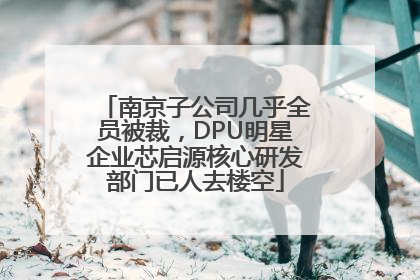 南京子公司几乎全员被裁，DPU明星企业芯启源核心研发部门已人去楼空
