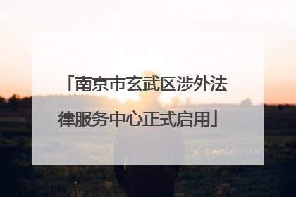 南京市玄武区涉外法律服务中心正式启用