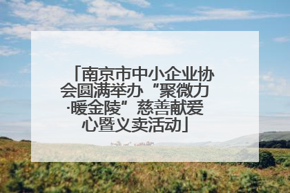 南京市中小企业协会圆满举办“聚微力·暖金陵”慈善献爱心暨义卖活动