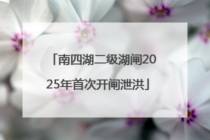 南四湖二级湖闸2025年首次开闸泄洪