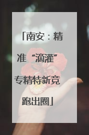 南安：精准“滴灌”专精特新竞跑出圈