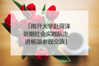 南开大学赴菏泽暑期社会实践队走进杨湖参观交流