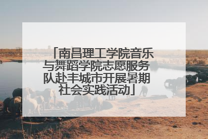 南昌理工学院音乐与舞蹈学院志愿服务队赴丰城市开展暑期社会实践活动