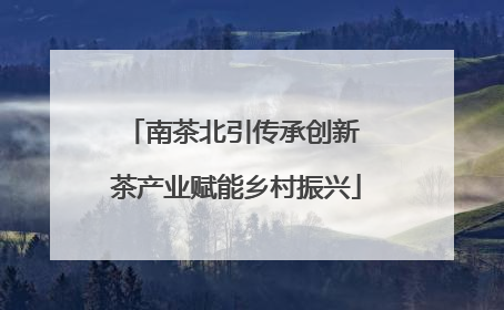 南茶北引传承创新 茶产业赋能乡村振兴