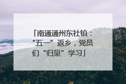 南通通州东社镇：“五一”返乡，党员们“归巢”学习