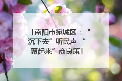 南阳市宛城区：“沉下去”听民声 “聚起来”商良策