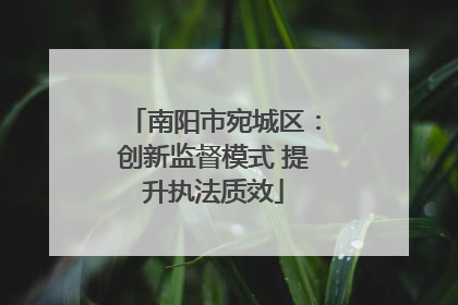 南阳市宛城区：创新监督模式 提升执法质效