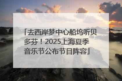 去西岸梦中心船坞听贝多芬！2025上海夏季音乐节公布节目阵容