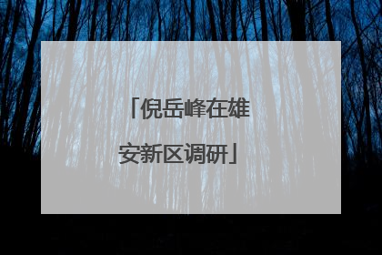 倪岳峰在雄安新区调研