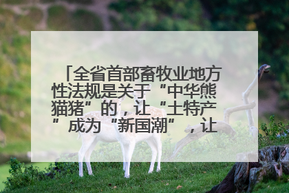 全省首部畜牧业地方性法规是关于“中华熊猫猪”的，让“土特产”成为“新国潮”，让“农产品”升格为“城市IP”